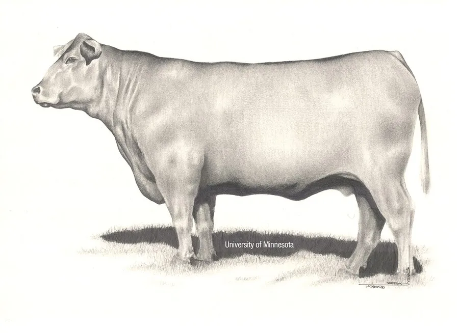 BCS 7 &ndash; Fleshy_Univ Minnesota.png